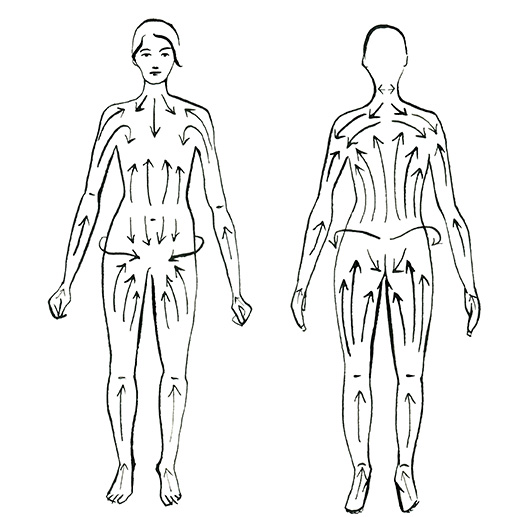 img-drybrushingdiagram