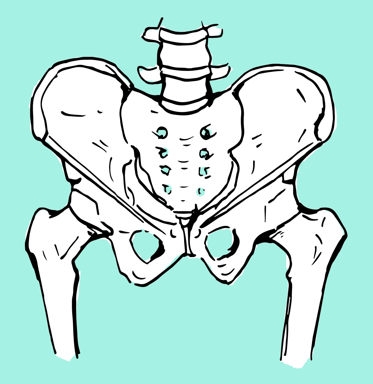 Болит тазобедренная кость. Тазобедренная кость. Pelvic. Тазовая кость контурный рисунок.